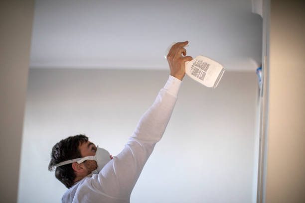 Best Office Mold Removal Services  in Brentwood, PA