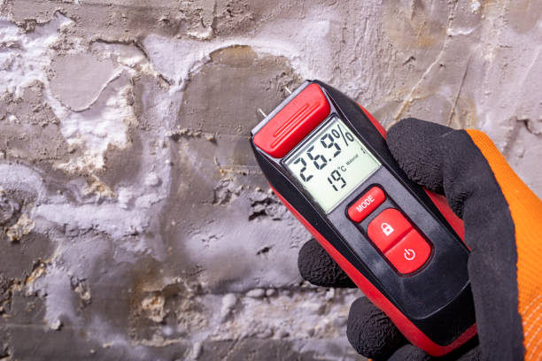 Best Toxic Mold Removal  in Brentwood, PA