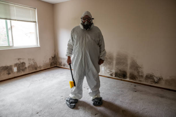 Best Crawl Space Mold Removal  in Brentwood, PA